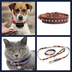 4 images 1 mot niveau 1792