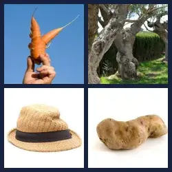 4 images 1 mot niveau 1793