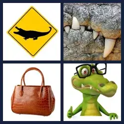 4 images 1 mot niveau 1797