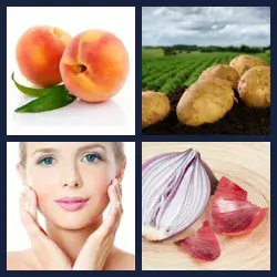 4 images 1 mot niveau 180