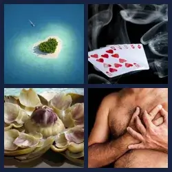 4 images 1 mot niveau 181