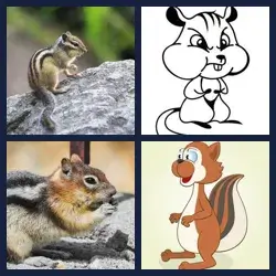 4 images 1 mot niveau 1825