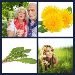 4 images 1 mot niveau 1848