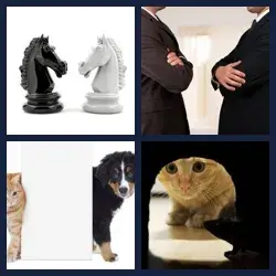 4 images 1 mot niveau 1865