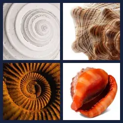 4 images 1 mot niveau 1866