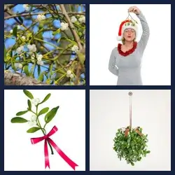 4 images 1 mot niveau 1871