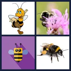 4 images 1 mot niveau 1888