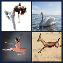 4 images 1 mot niveau 1889