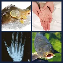 4 images 1 mot niveau 205