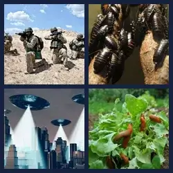 4 images 1 mot niveau 207