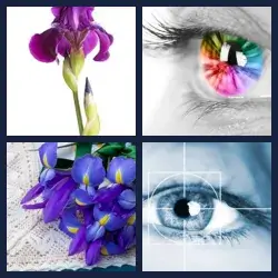 4 images 1 mot niveau 208