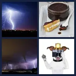 4 images 1 mot niveau 218