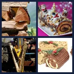 4 images 1 mot niveau 228