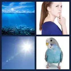4 images 1 mot niveau 23