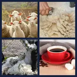 4 images 1 mot niveau 234