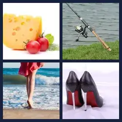 4 images 1 mot niveau 237