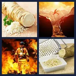 4 images 1 mot niveau 257