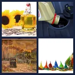 4 images 1 mot niveau 267