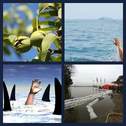 4 images 1 mot niveau 284