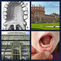 4 images 1 mot niveau 287