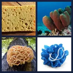 4 images 1 mot niveau 290