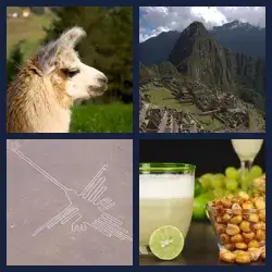 4 images 1 mot niveau 293