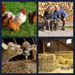 4 images 1 mot niveau 295