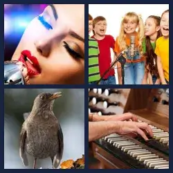 4 images 1 mot niveau 299