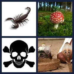 4 images 1 mot niveau 302