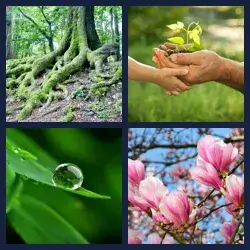 4 images 1 mot niveau 316