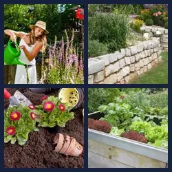 4 images 1 mot niveau 318