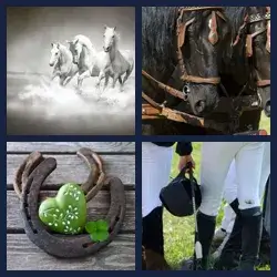 4 images 1 mot niveau 324