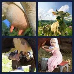 4 images 1 mot niveau 326