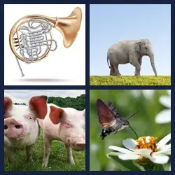 4 images 1 mot niveau 328