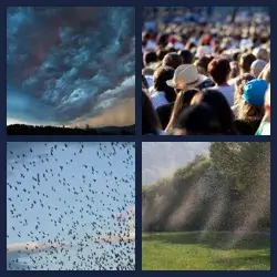 4 images 1 mot niveau 332