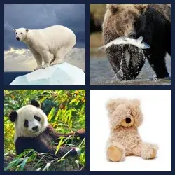 4 images 1 mot niveau 334