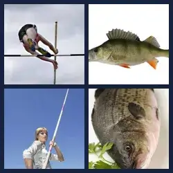 4 images 1 mot niveau 350