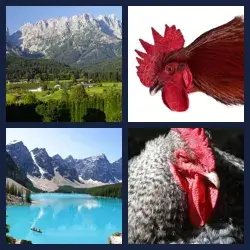 4 images 1 mot niveau 352