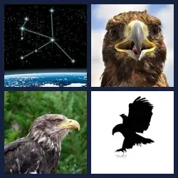 4 images 1 mot niveau 360