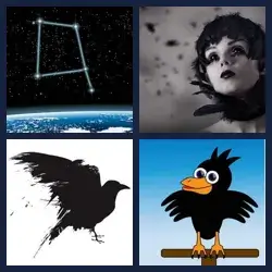 4 images 1 mot niveau 362