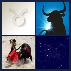 4 images 1 mot niveau 365