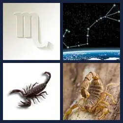 4 images 1 mot niveau 366