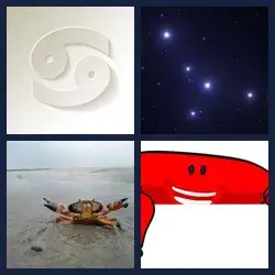 4 images 1 mot niveau 367