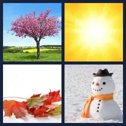 4 images 1 mot niveau 380