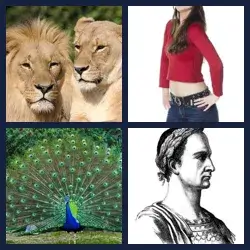 4 images 1 mot niveau 385