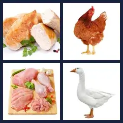 4 images 1 mot niveau 398