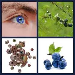 4 images 1 mot niveau 421