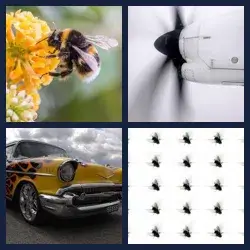 4 images 1 mot niveau 425