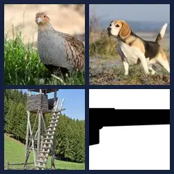 4 images 1 mot niveau 435