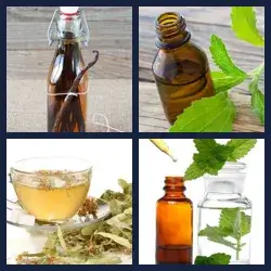 4 images 1 mot niveau 441